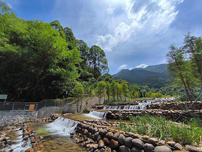 游客潜水遭遇悲剧：鲨鱼咬头事件深度剖析